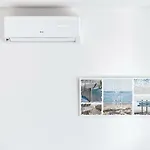 Apartment M&l